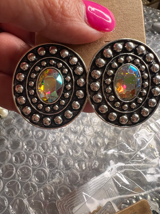Oval silver earrings with multi colored stone